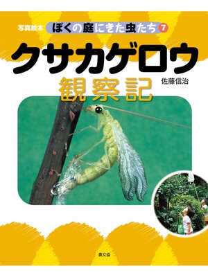 cover image of 写真絵本　ぼくの庭にきた虫たち7　クサカゲロウ観察記